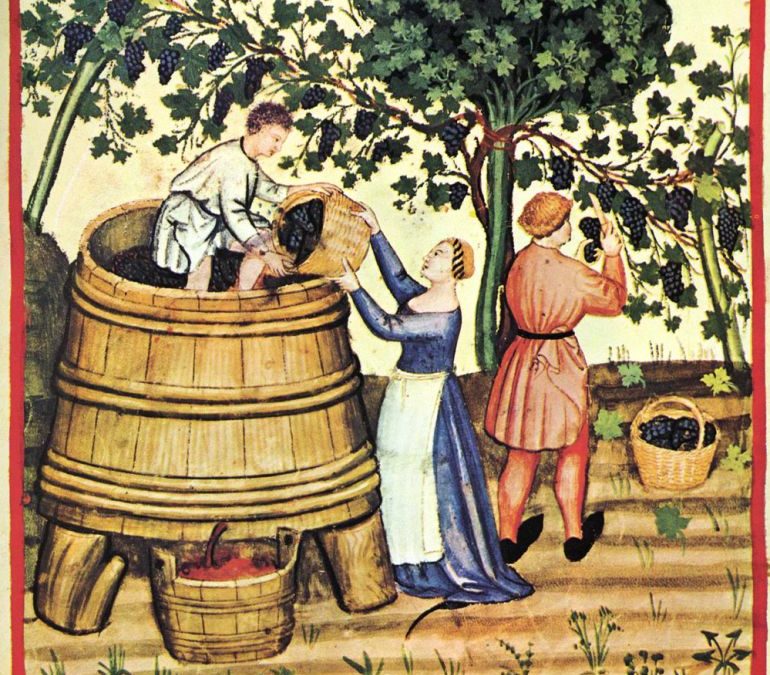 Dibujo antiguo de gente recolectando uvas y prensándolas con los pies